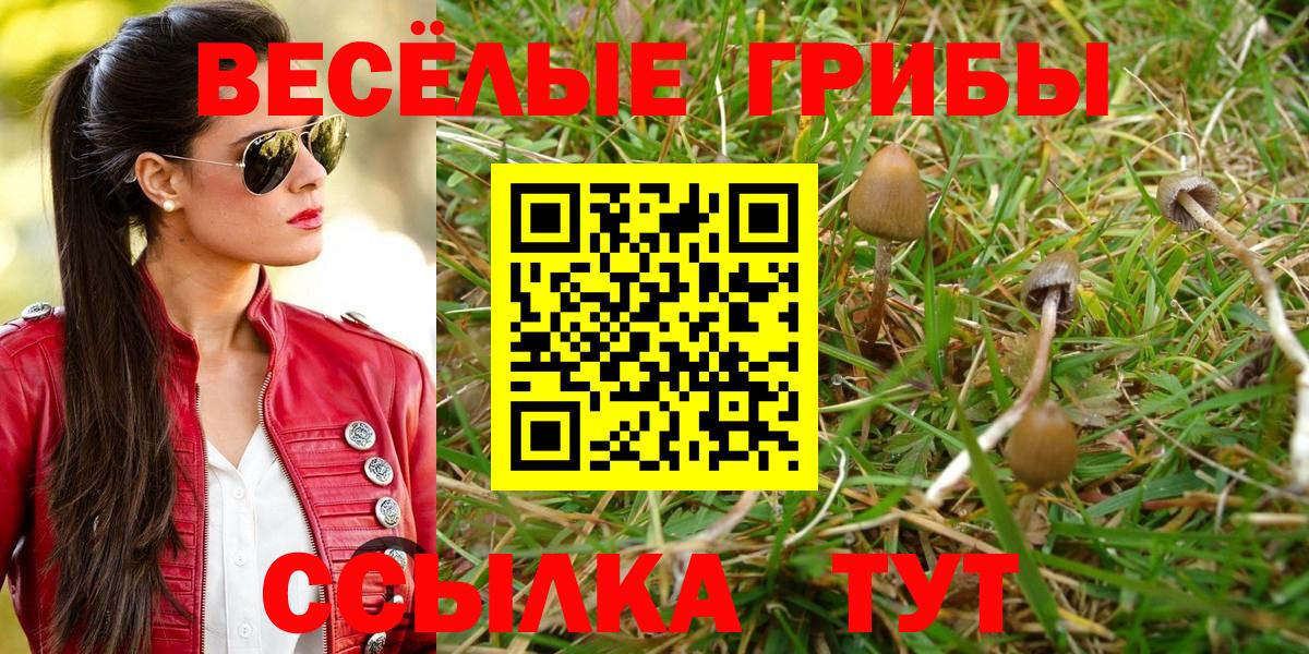 Псилоцибиновые грибы MAGIC MUSHROOMS  Псилоцибиновые грибы Psilocybine cubensis  Касимов  Вход с VPN 