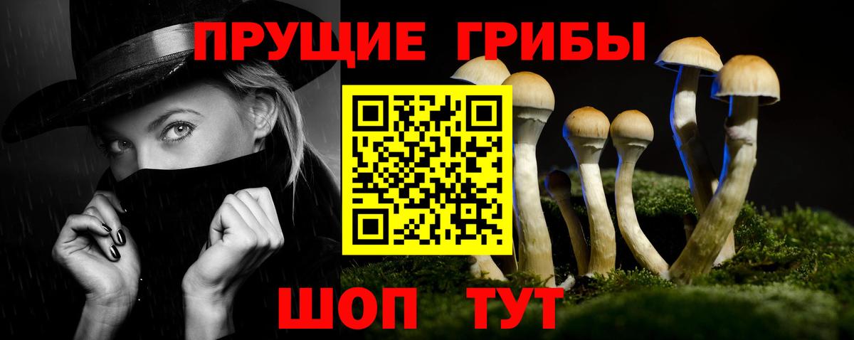 Псилоцибиновые грибы мухоморы Касимов